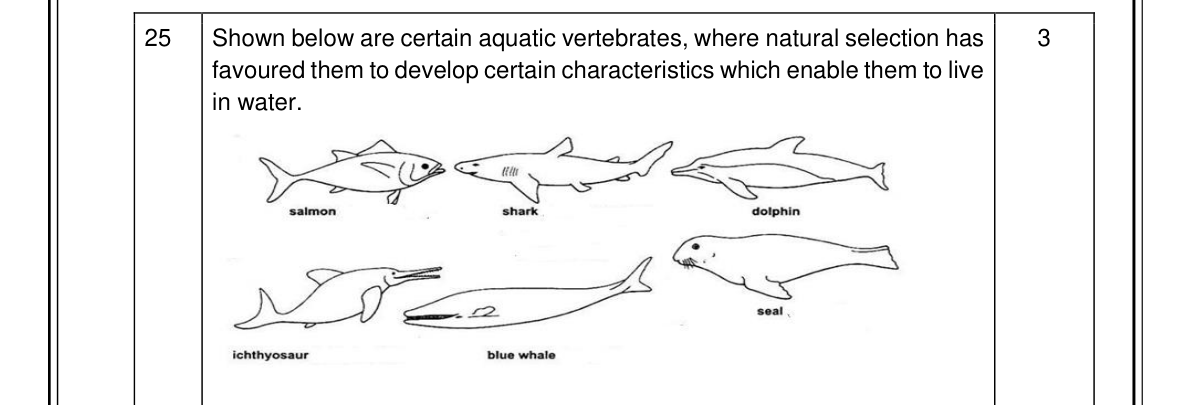diagram for Convergent vs divergent evolution