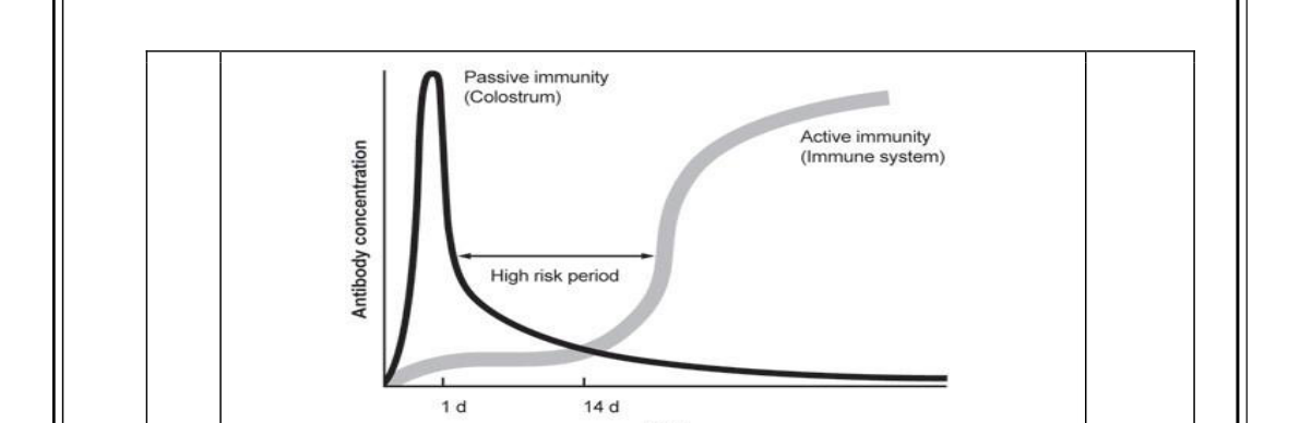 diagram for Active vs passive immunity and vaccination